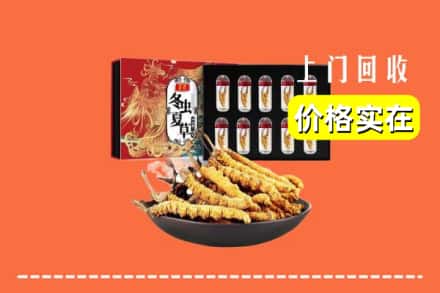 赣州市石城回收冬虫夏草