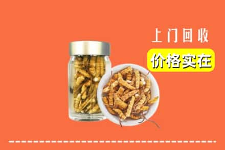 赣州市石城回收散虫草